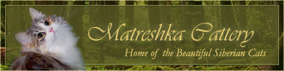 Matreshka Cattery